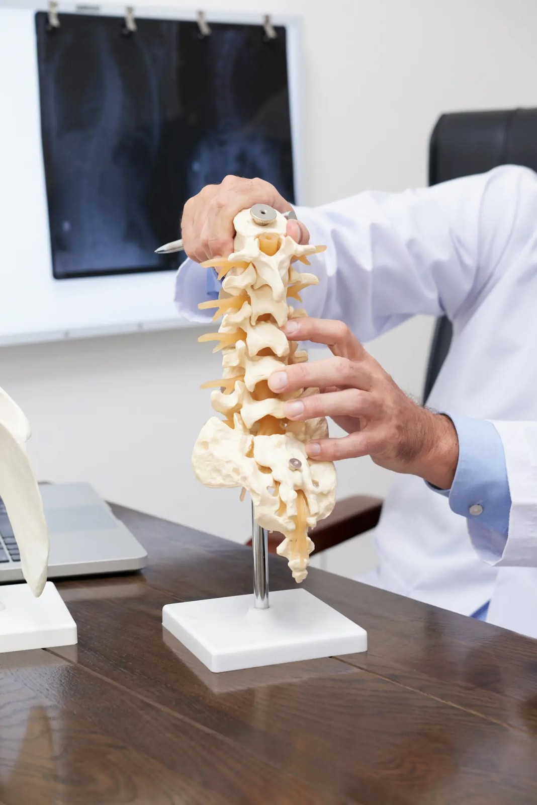 Orthopaedics