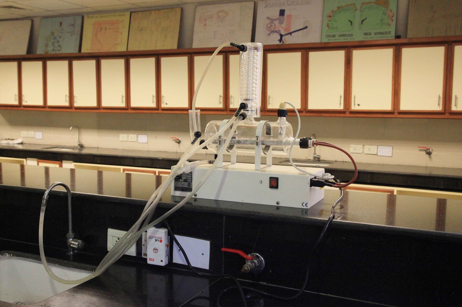 Physiology